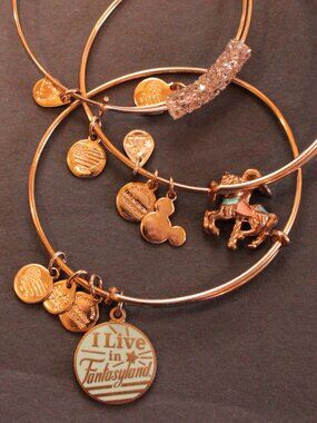 Alex and Ani 3-piece rose gold Disney fantasy land bangles